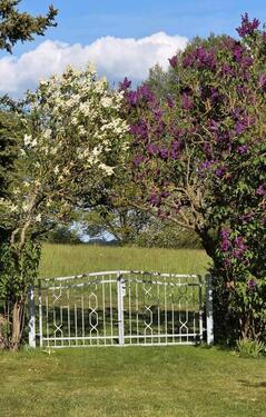 Foto - andere in Feldberger Seenlandschaft zur Miete