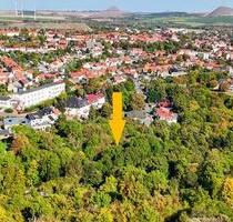 AUKTION: bewaldetes Grünland in Hanglage - Eisleben (Lutherstadt)
