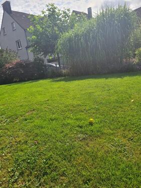 Foto - Gepflegtes Mehrfamilienhaus mit Garten und Ausbaupotential