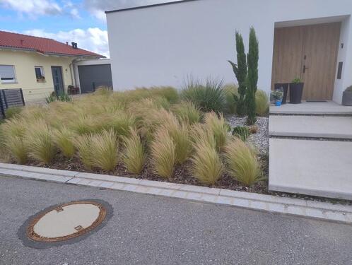 Foto - 5 Zimmer Einfamilienhaus zur Miete in Scheinfeld