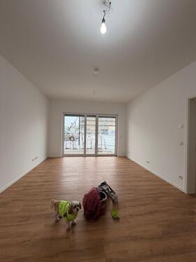 Foto - 2 Zimmer Erdgeschoßwohnung zur Miete in Velten