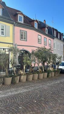 Foto - 4 Zimmer Etagenwohnung in Karlsruhe