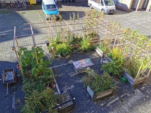 Foto - andere in Berlin zur Miete