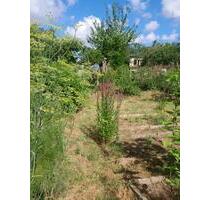 Naturgarten an der Warnow - 4.200,00&nbsp;EUR Kaltmiete, ca.&nbsp; 0,00&nbsp;m&sup2; in Rostock (PLZ: 18057) Hansaviertel