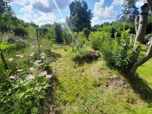 Foto - Grundstück zur Miete in Rostock