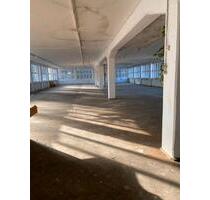 Halle zu Vermieten 500m² - 800,00&nbsp;EUR Kaltmiete, ca.&nbsp; 500,00&nbsp;m&sup2; in Burladingen (PLZ: 72393)