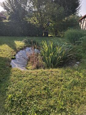 Foto - Einfamilienhaus in Hirzenhain zum Kaufen