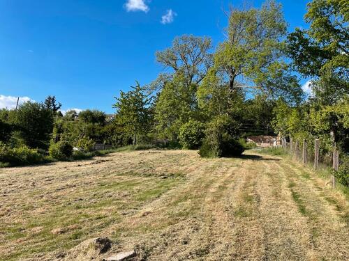 Foto - 10 Zimmer Mehrfamilienhaus, Wohnhaus in Bleicherode