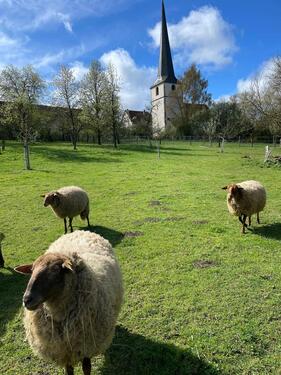 Foto - Einfamilienhaus in Stadtlauringen zum Kaufen