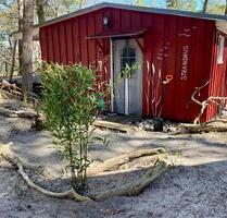 Ferienhaus Bungalow in Göhren, Rügen, Ostsee – direkt am Strand - Sellin