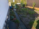 Foto - Grundstück in Guben zur Miete