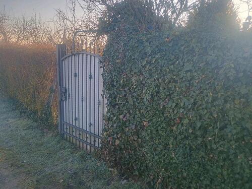 Foto - Grundst&uuml;ck zur Miete in Mainhausen