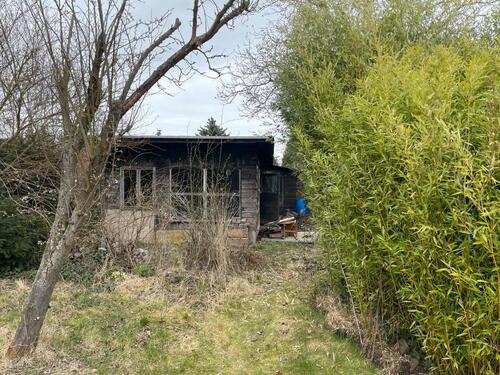 Foto - Kleingarten 1200qm bei Halle zur Pacht