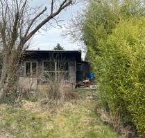 Kleingarten 1200qm bei Halle zur Pacht - Halle (Saale) Frohe Zukunft