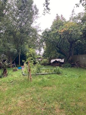 Foto - Garten abzugeben - Pachtland - Zschonergrund