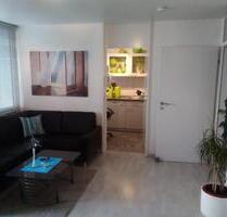 Gut vermietete 1,5 Zimmer- Wohnung mit Traumblick - Stein