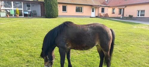 Foto - andere zur Miete in Wismar