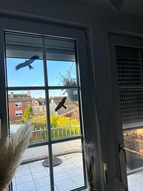 Foto - Etagenwohnung in Herzogenrath