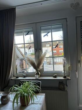 Foto - Etagenwohnung in Herzogenrath zur Miete