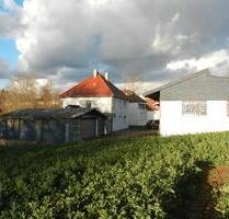 2 Hallen+Haus und Hof - 650.000,00&nbsp;EUR Kaufpreis, ca.&nbsp; 160,00&nbsp;m&sup2; in Gondelsheim (PLZ: 75053)
