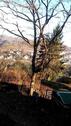 Foto - 10 Zimmer Einfamilienhaus zur Miete in Idar-Oberstein