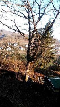 Foto - 10 Zimmer Einfamilienhaus zur Miete in Idar-Oberstein