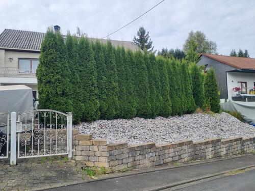 Foto - Einfamilienhaus in Freudenberg