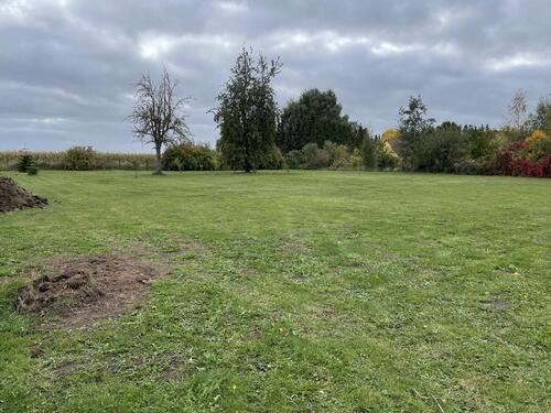 Foto - 4 Zimmer Einfamilienhaus zum Kaufen in Neetzow-Liepen