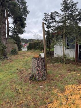 Foto - Einfamilienhaus in Bestensee zum Kaufen
