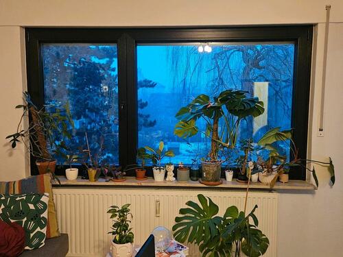 Foto - Wohnung zur Zwischenmiete 06.04 bis 15.05