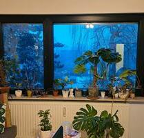 Wohnung zur Zwischenmiete 06.04 bis 15.05 - Würzburg Dürrbachau