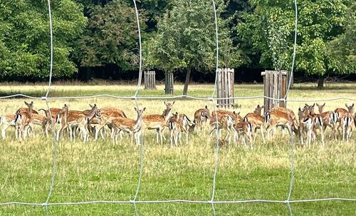 Foto - Etagenwohnung in Bad Sassendorf zur Miete