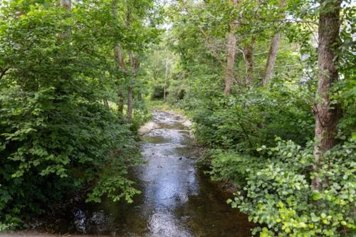 Foto - andere zur Miete in Mayen