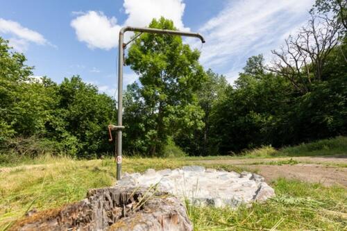 Foto - andere in Mayen zur Miete