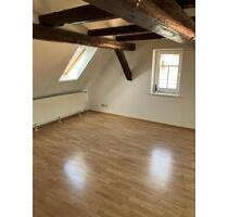 Schöne große Wohnung in Hohengandern - Uder