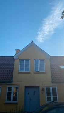 Foto - 
