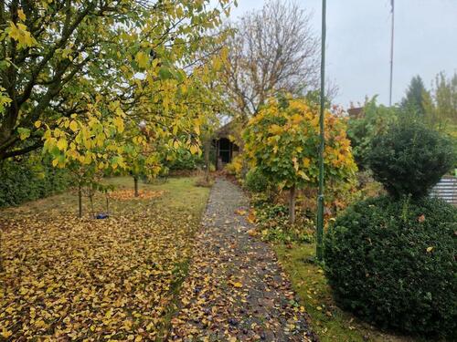 Foto - Grundstück zur Miete in Sehnde