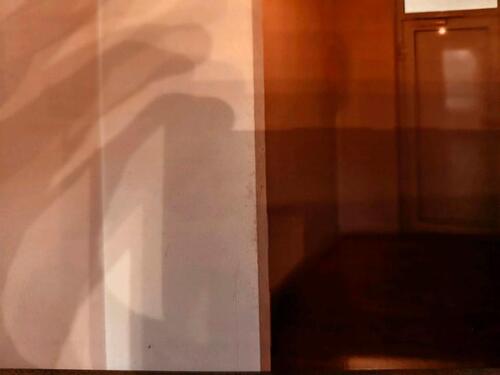 Foto - Etagenwohnung in Werdau zum Kaufen