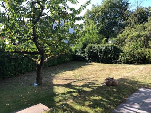 Foto - Wunderschöne Gartenwohnung am Stadtwald