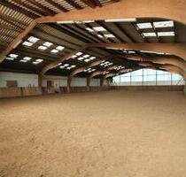 Stallgasse mit 8 Boxen zu verpachten - Schönborn