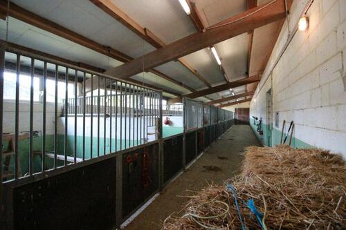 Foto - andere zur Miete in Schönborn