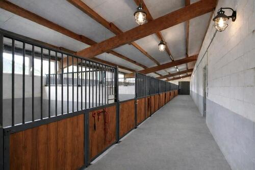 Foto - andere in Schönborn