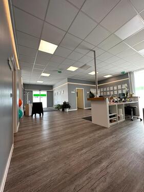 Foto - Laden Einzelhandel Showroom Büro zu vermieten