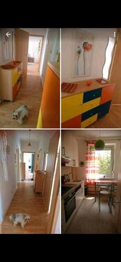 Foto - 2 Zimmer Etagenwohnung zum Kaufen in Torgau