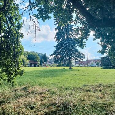 Foto - Grundst&uuml;ck zur Miete in Ingoldingen