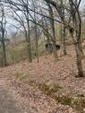 Foto - Garten und Wald Grundstück in Gelnhausen Panorama Weg