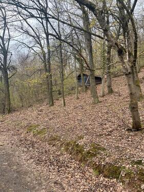 Foto - Garten und Wald Grundstück in Gelnhausen Panorama Weg