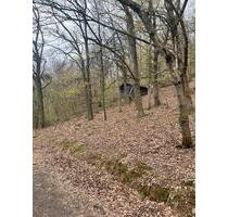Garten und Wald Grundstück in Gelnhausen Panorama Weg - Maintal