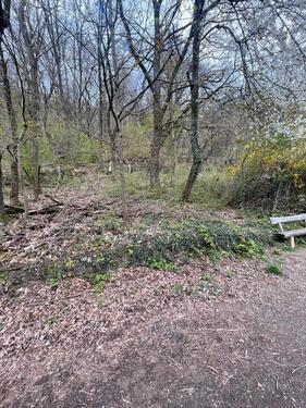 Foto - Grundst&uuml;ck zur Miete in Maintal