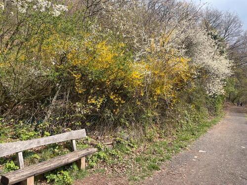 Foto - Grundst&uuml;ck in Maintal